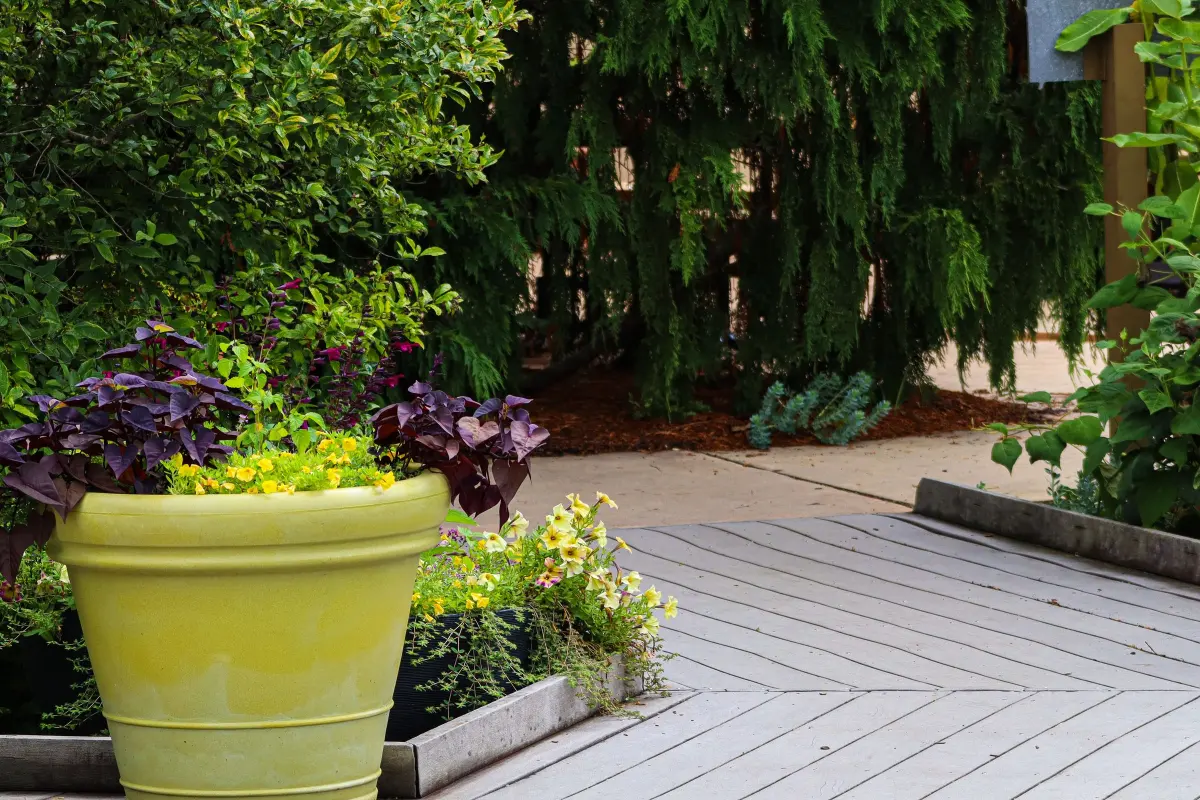 Terrasse en bois grisée, prête à être rénovée