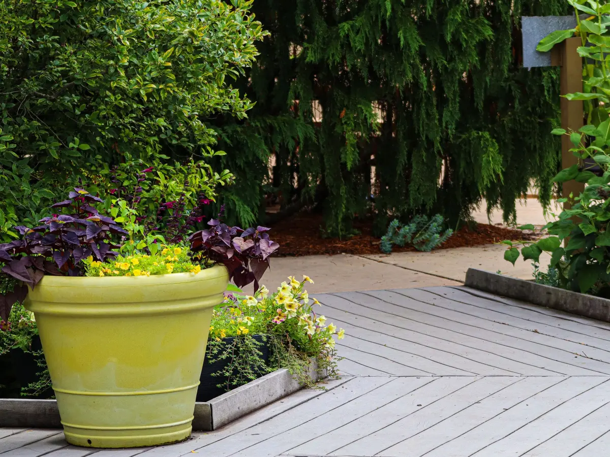 Terrasse en bois grisée dans un jardin fleuri à La Colle-sur-Loup